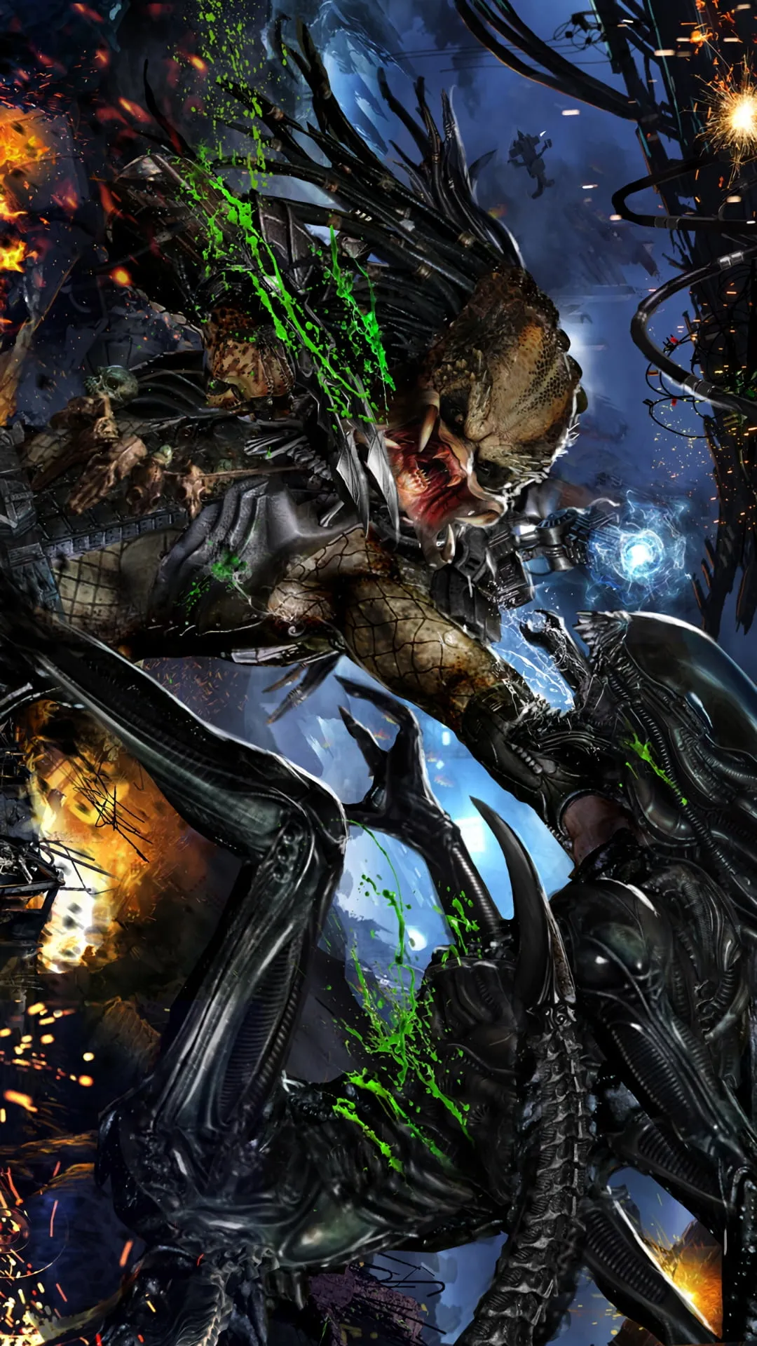 Predator VS Alian