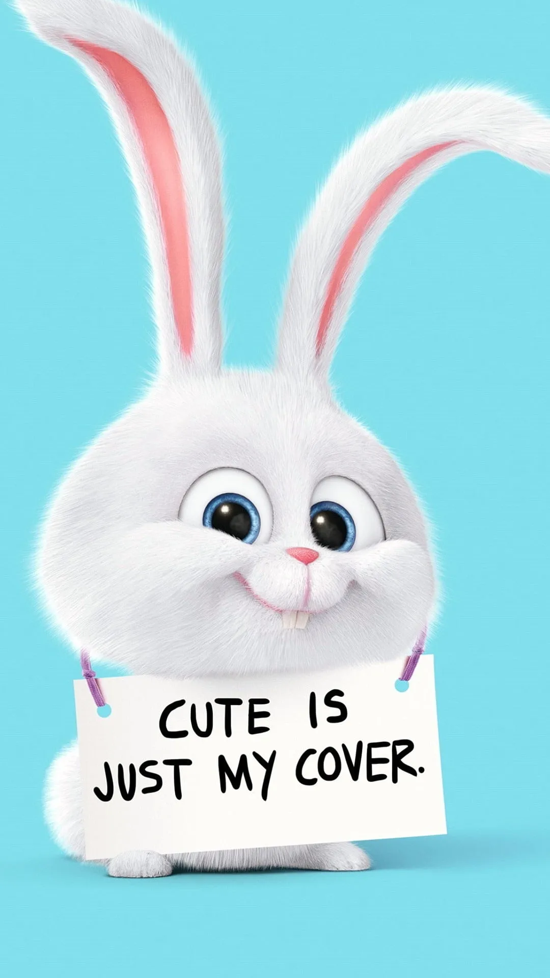 Cute bunny